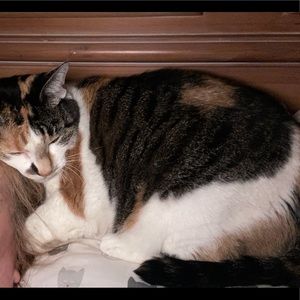 Meet your Posher, Robin